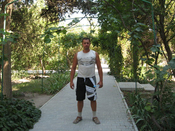 Сергей Недашковский