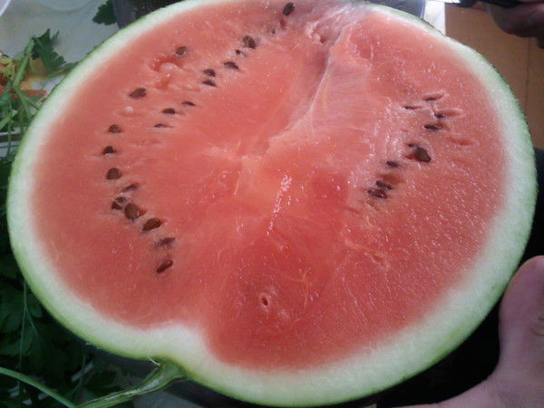 Соликамский Бизнес-Инкубатор Верхнекамье