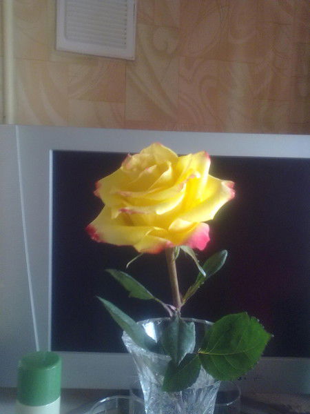 Эдуард Горбунов