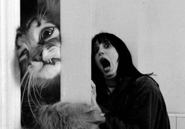 Алег Круглов