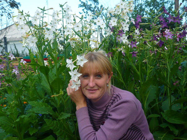 Елена Коновалова