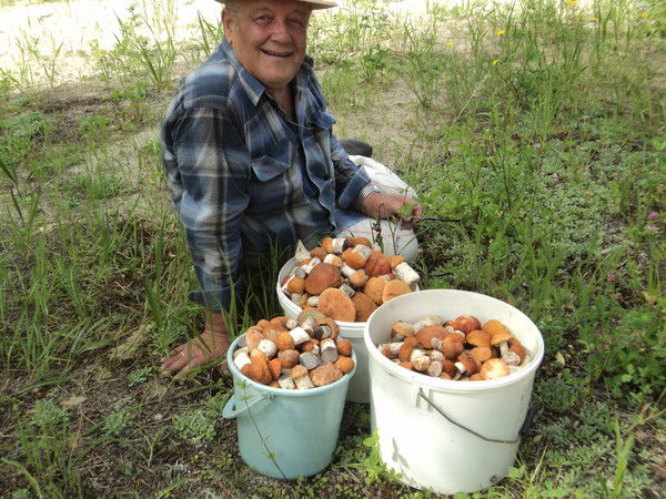Леонид Павлов