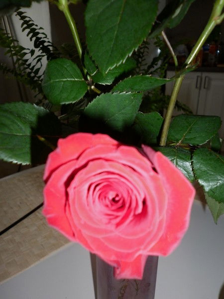 Людмила Качановская