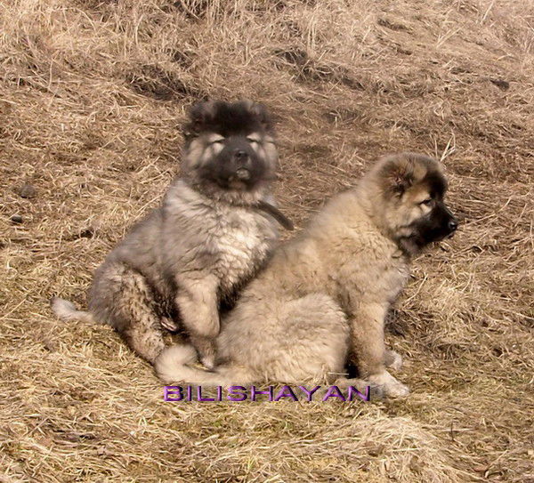 Наталья Михалина