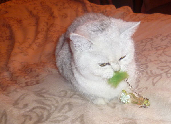 Ольга Александровна