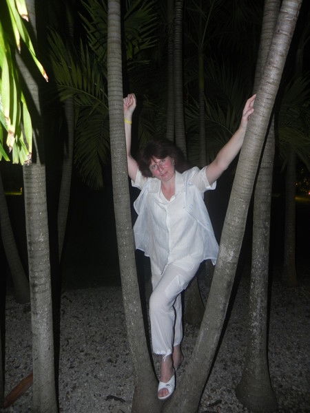 Светлана Комаренко