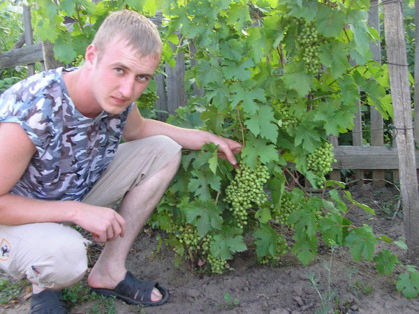 Константин Косенков