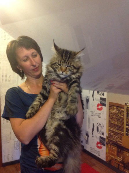 Елена Васина