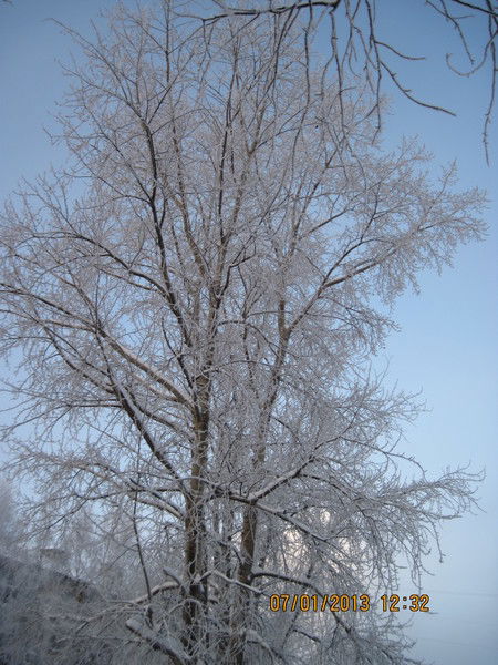 Галина Попова