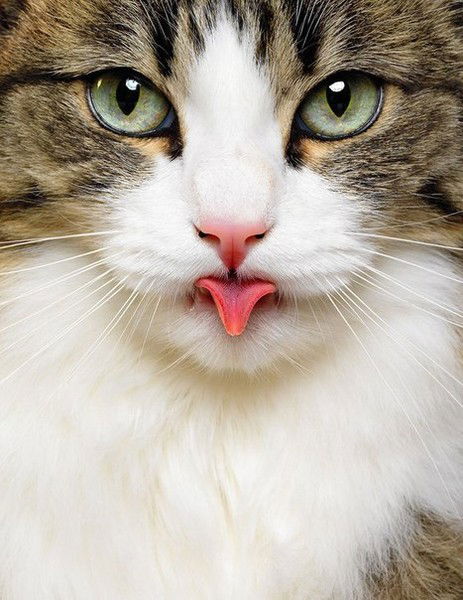 Заира Муталиева