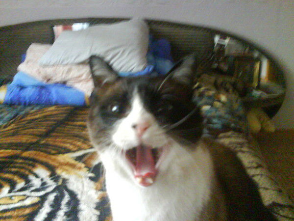 Николай Байков