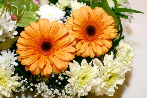 Ольга Перепечко