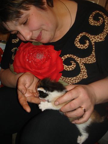 Елена Тоншина