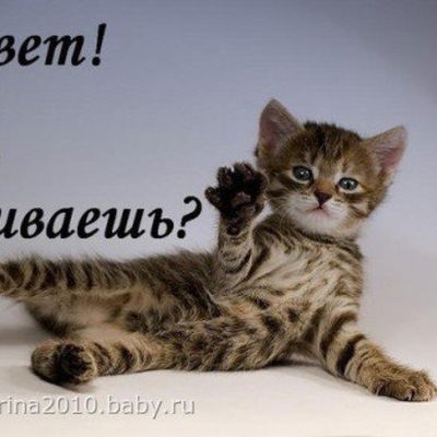 Алина Исламова