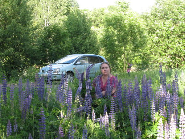 Лаиншчек Евгения