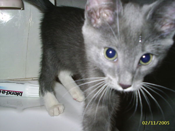 Наиля Аюпова