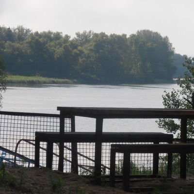 Ладо Николава