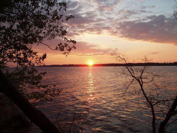 Александр Суслин