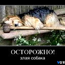 Жора .