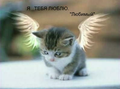 Айгуль Мухашева