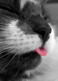 Максут Джумагалиев