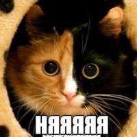 Машута Максименко