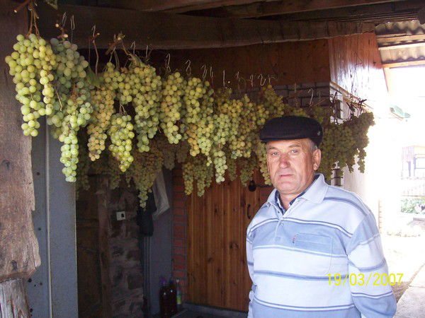 Николай Кудрявцев