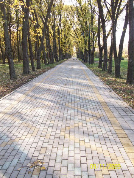 Евгения Горскова