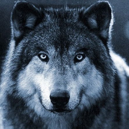 Алексей Воронин