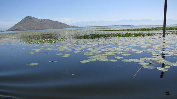 Наталия Козина