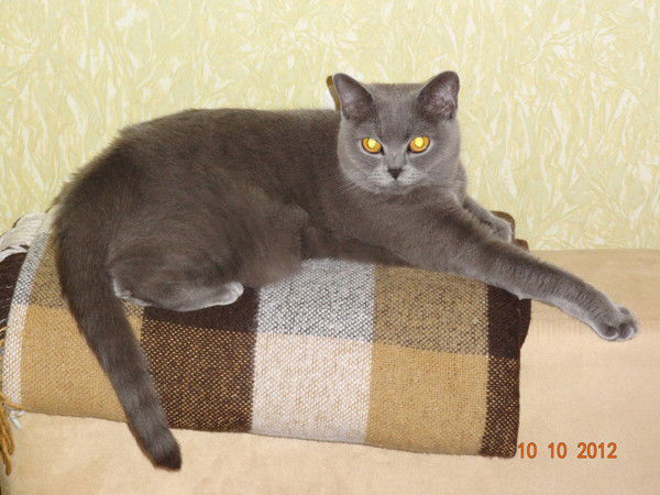 Людмила Попова