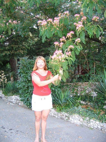 Лилия Казелло