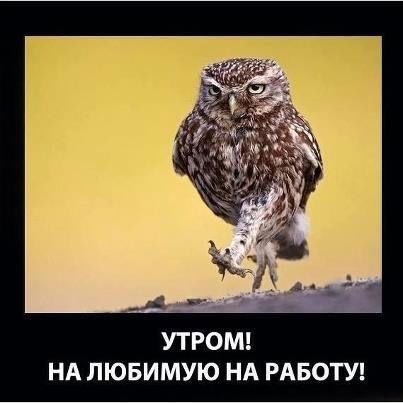 Гнс Шерол По Сулейменова