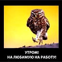Гнс Шерол По Сулейменова