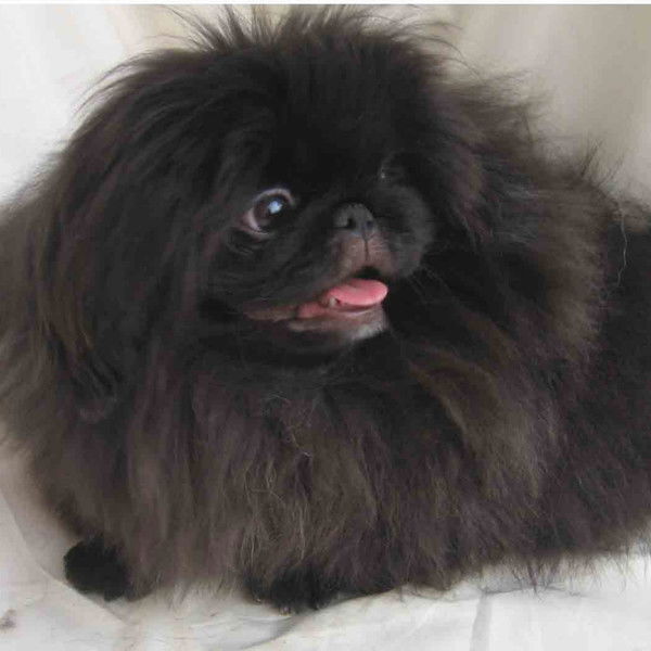 Галина Фролова