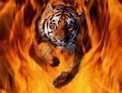 Дмитрий Черешнев