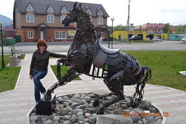 Елена Сокол (Дамшук)