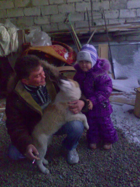 Вячеслав Филин