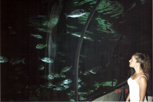 Елена Пащенко