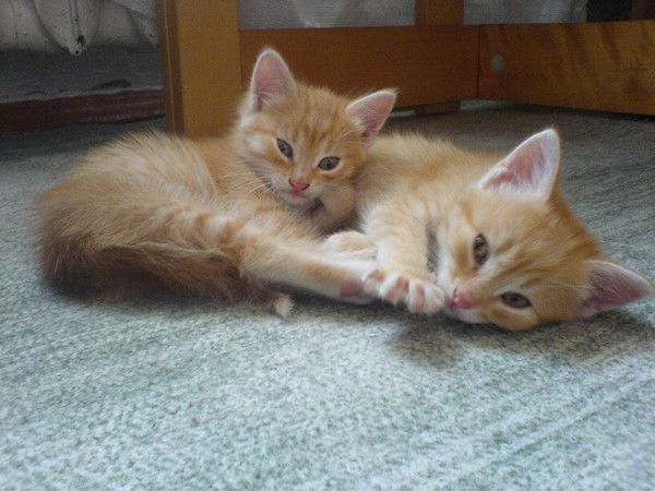 Васяныч )))(((