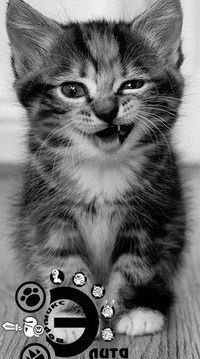 Игорь Богданов