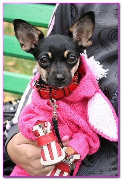 Алла Гапонова