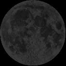 Натся Шанаева