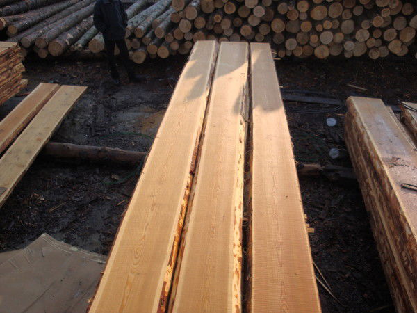 Александр Тарасов