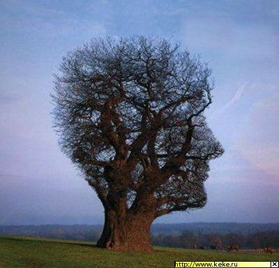 Надежда Ефимова