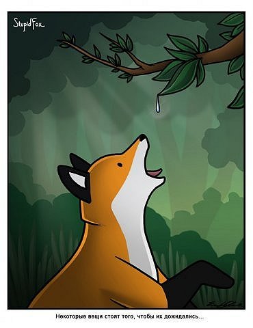 Ксения Ефремова