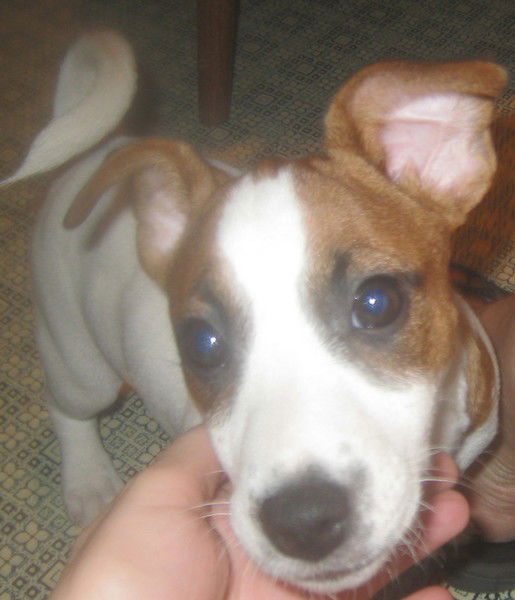 Галина *******