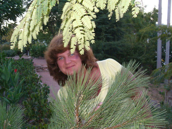 Елена Елена