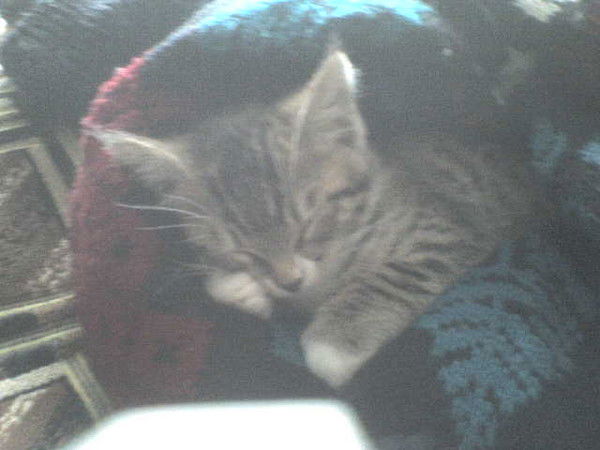 Ольга Колганова