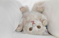 Галина Минаева